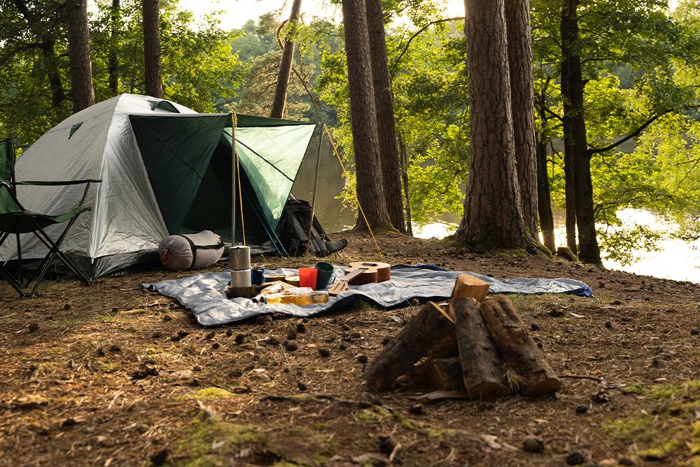 Shot of tourist tent with food and drink on rug in summer wood in daytime.